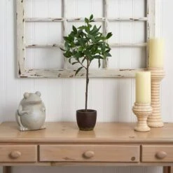 2.5ft. Topiary In Decorative Planter -Flowers Michael Store D251960S 14