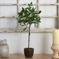 2.5ft. Topiary In Decorative Planter -Flowers Michael Store D251960S 15