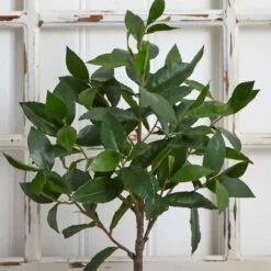 2.5ft. Topiary In Decorative Planter -Flowers Michael Store D251960S 16