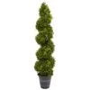 4ft. Boxwood Spiral Topiary In Planter -Flowers Michael Store D251983S 1