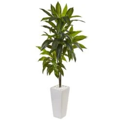 3ft. Dracaena In White Tower Planter -Flowers Michael Store D252134S 1 1