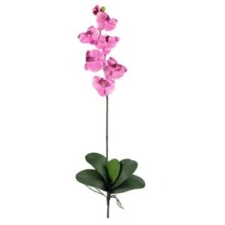 Mauve Moth Orchid Stem, 6ct. -Flowers Michael Store D252184S 1 1