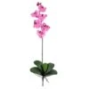 Mauve Moth Orchid Stem, 6ct. 1 Mauve Moth Orchid Stem, 6ct. -Flowers Michael Store D252184S 1