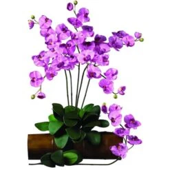 Mauve Moth Orchid Stem, 6ct. -Flowers Michael Store D252184S 2