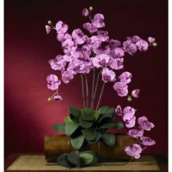 Mauve Moth Orchid Stem, 6ct. -Flowers Michael Store D252184S 3