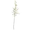 Green Night Willow Stem, 6ct. -Flowers Michael Store D252187S 1