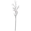 Brown Deadwood Stem, 6ct. -Flowers Michael Store D252194S 1