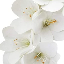 24'' White Amaryllis Wreath 7 24'' White Amaryllis Wreath -Flowers Michael Store D252235S 12
