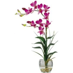 22" Orchid Arrangement With Glass Vase -Flowers Michael Store D262065S 1 1