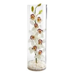 20" Boat Orchid Arrangement In Tall Cylinder Vase -Flowers Michael Store D262111S 1 1