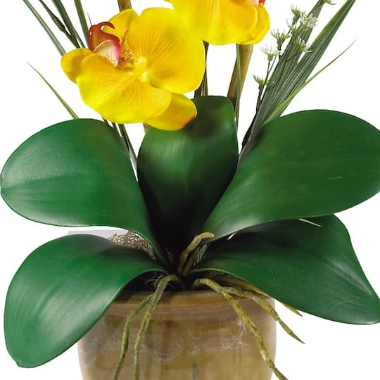 21'' Potted Yellow Moth Orchid Arrangement 5 21'' Potted Yellow Moth Orchid Arrangement - Image 3
