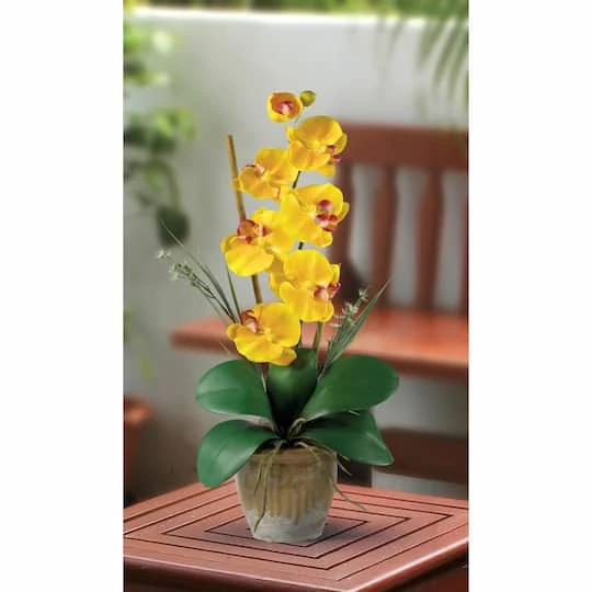 21'' Potted Yellow Moth Orchid Arrangement 6 21'' Potted Yellow Moth Orchid Arrangement - Image 4