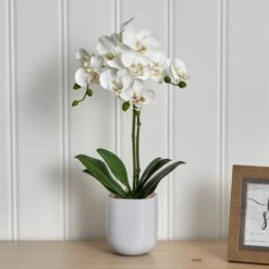 18.5" Moth Orchid In Frosted Glass -Flowers Michael Store D262171S 13