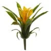 Yellow Bromeliad Flower, 6ct. -Flowers Michael Store D262202S 1
