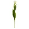 White Tulip Flower Stem, 8ct. -Flowers Michael Store D262203S 1