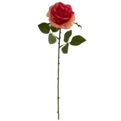 Dark Pink Rose Stems, 24ct. -Flowers Michael Store D262204S 1 1