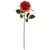 Dark Pink Rose Stems, 24ct. -Flowers Michael Store D262204S 1