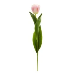 Light Pink Tulip Stems, 8ct. 5 Light Pink Tulip Stems, 8ct. -Flowers Michael Store D262205S 1 1