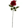 Red Rose Flower Stem, 24ct. -Flowers Michael Store D262206S 1