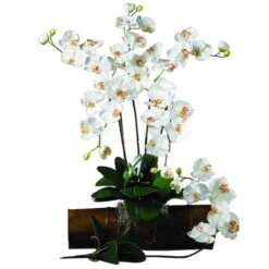 White Moth Orchid Stem, 12ct. -Flowers Michael Store D262207S 2