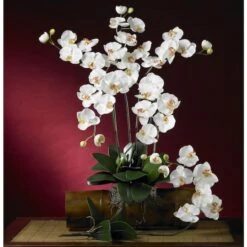 White Moth Orchid Stem, 12ct. -Flowers Michael Store D262207S 3