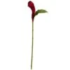 Red Ginger Flower Stem, 3ct.