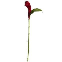 Red Ginger Flower Stem, 3ct.
