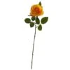 Orange Rose Stems, 24ct. -Flowers Michael Store D262211S 1