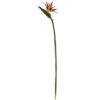 Orange Bird Of Paradise Stems, 4ct. -Flowers Michael Store D262213S 1