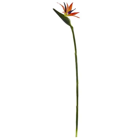 Orange Bird Of Paradise Stems, 4ct. 3 Orange Bird Of Paradise Stems, 4ct.