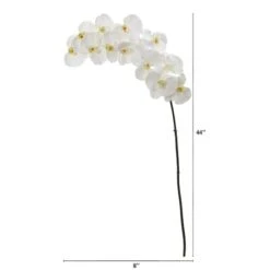 White Moth Orchid Stem, 3ct. -Flowers Michael Store D262215S 12