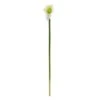 White Calla Lily Stem, 12ct. -Flowers Michael Store D262216S 1