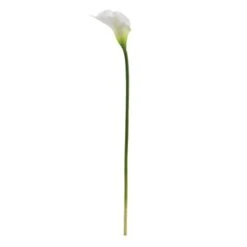 White Calla Lily Stem, 12ct. -Flowers Michael Store D262216S 2