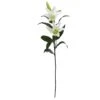 White Lily Stem, 12ct. -Flowers Michael Store D262221S 1