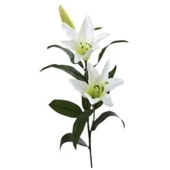 White Lily Stem, 12ct. 7 White Lily Stem, 12ct. -Flowers Michael Store D262221S 2