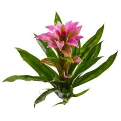 Purple Bromeliad Flower, 4ct. -Flowers Michael Store D262223S 2