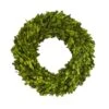 14'' Green Preserved Boxwood Wreath -Flowers Michael Store D262258S 11