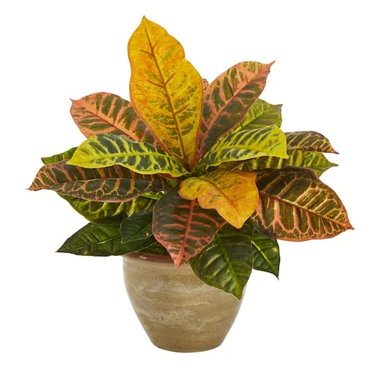 15" Garden Croton Plant In Ceramic Planter 3 15" Garden Croton Plant In Ceramic Planter