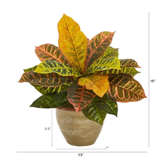 15" Garden Croton Plant In Ceramic Planter 6 15" Garden Croton Plant In Ceramic Planter - Image 4