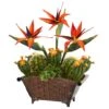 21" Bird Of Paradise & Cactus Plant In Metal Planter -Flowers Michael Store D262359S 1