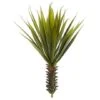 Green Spiky Agave Succulent, 2ct. -Flowers Michael Store D262467S 11