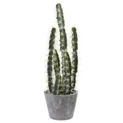 2ft. Cactus Garden In Cement Planter 8 2ft. Cactus Garden In Cement Planter -Flowers Michael Store D262468S 11 1