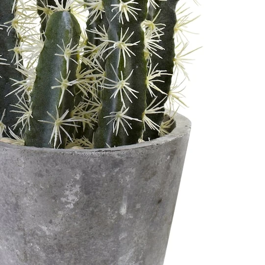 2ft. Cactus Garden In Cement Planter 6 2ft. Cactus Garden In Cement Planter - Image 4