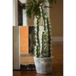 2ft. Cactus Garden In Cement Planter 11 2ft. Cactus Garden In Cement Planter -Flowers Michael Store D262468S 14