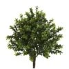 15" Sweet Grass Bush, 6ct. 2 15" Sweet Grass Bush, 6ct. -Flowers Michael Store D262471S 11