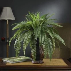 2.5.ft. Boston Fern In Decorative Brown Urn -Flowers Michael Store D262474S 12
