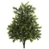 23" Sweet Grass Bush, 2ct. -Flowers Michael Store D262476S 11