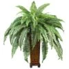 2.5ft. Boston Fern In Wood Vase -Flowers Michael Store D262481S 11