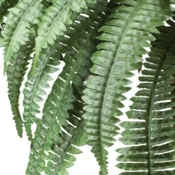 2.5ft. Boston Fern In Wood Vase -Flowers Michael Store D262481S 12