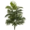30" Areca Palm Plant, 3ct. -Flowers Michael Store D262484S 1